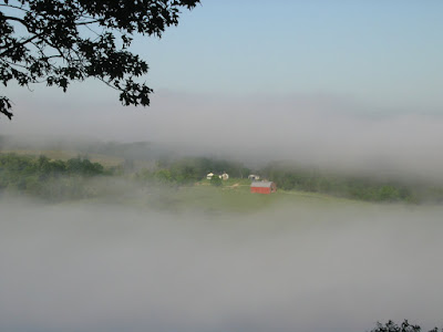 Fog in the valley