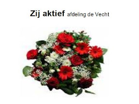 img4.jpg