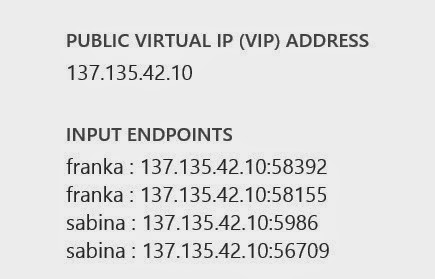 [inputendpoints3.jpg]