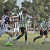 CSC_0341.jpg