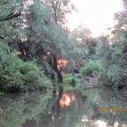 IMG_7915.JPG