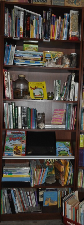 schollroom 2012 058