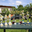 P1010485.JPG