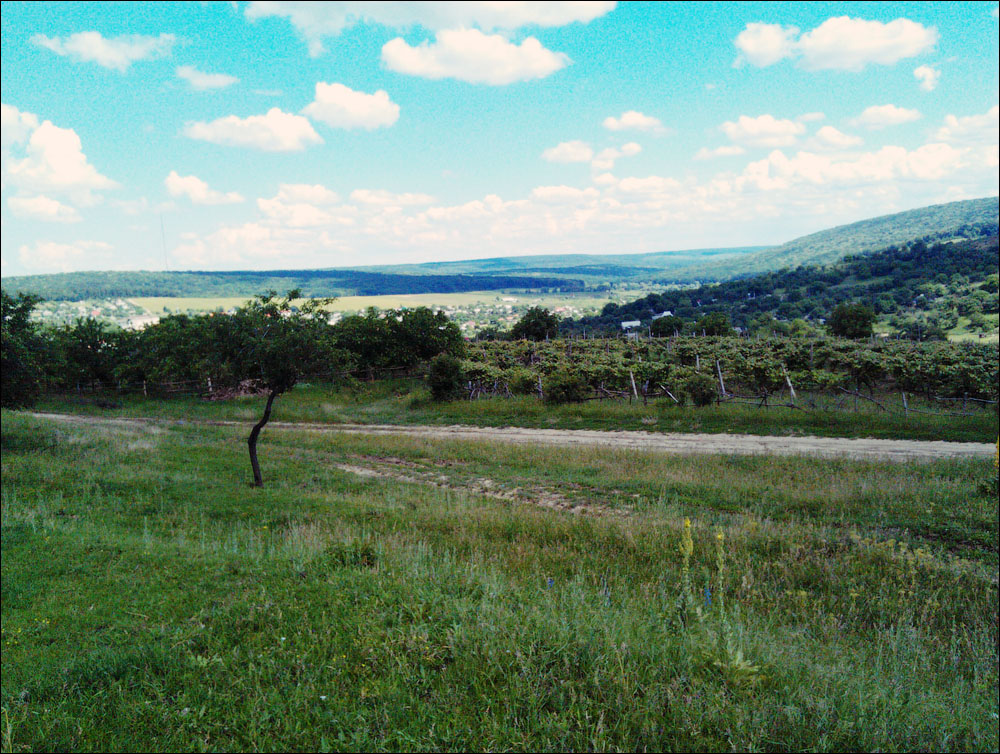 IMAG0381.jpg