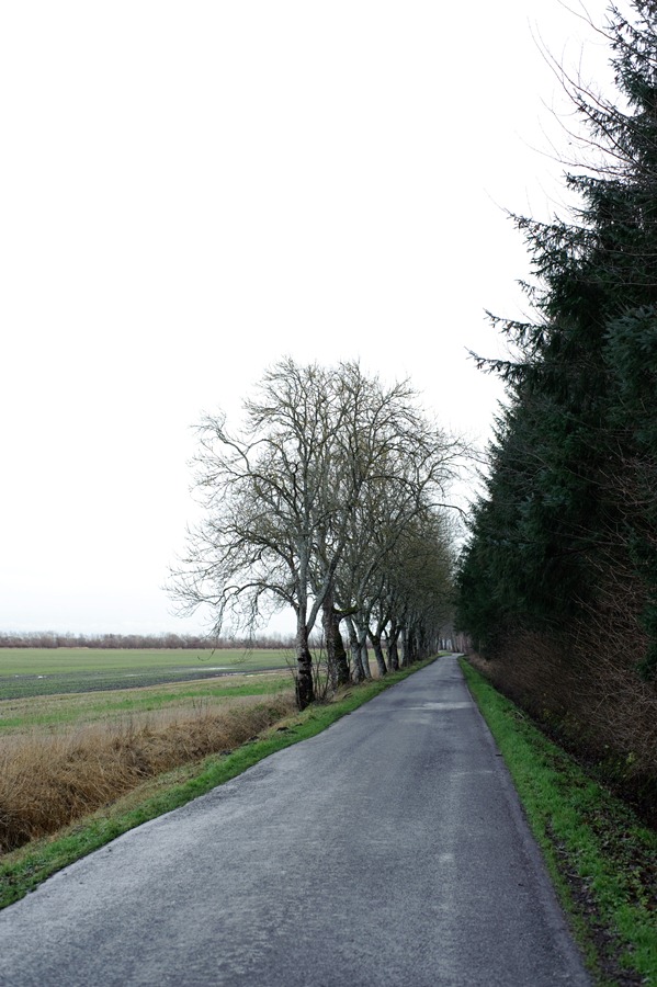 [DSC_7208%255B2%255D.jpg]