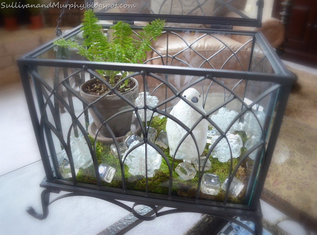 [glass%2520%2526%2520iron%2520terrarium%255B1%255D.jpg]