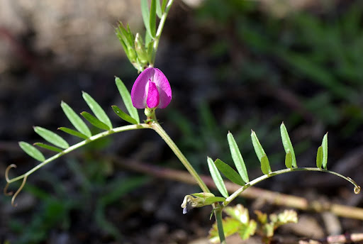 20100314_049