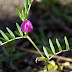 20100314_049