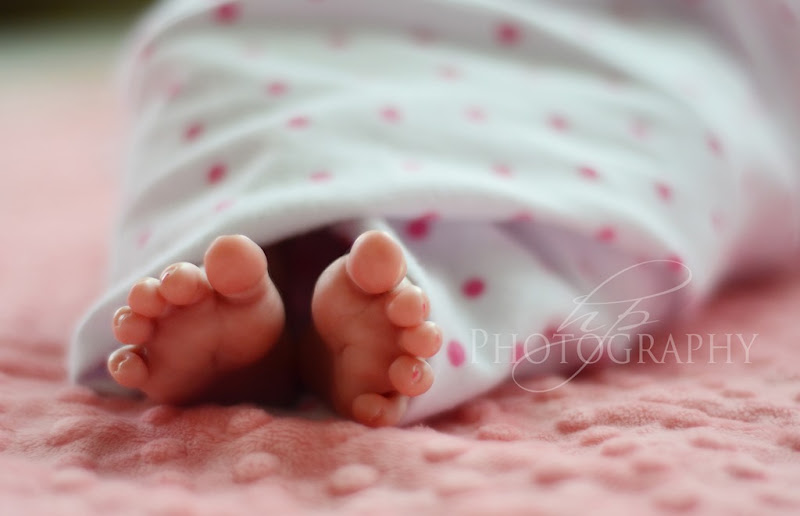 HPP_4478