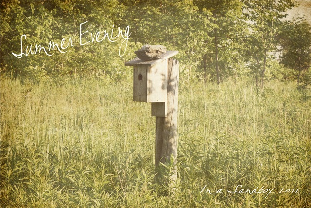 [Summer%2520Evening%2520with%2520texture%255B4%255D.jpg]
