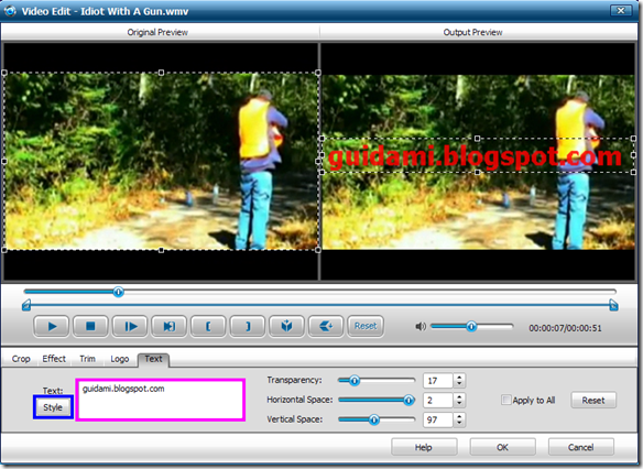 iWisoft Free Video Converter Video Edit Text