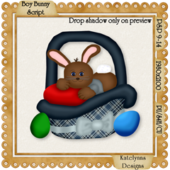 KD_BoyBunnyScriptPreview