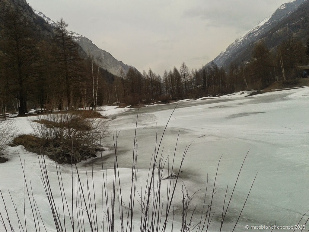 [IMG_20150315_174307%255B8%255D.jpg]