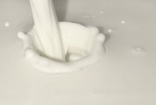[Milk3.jpg]