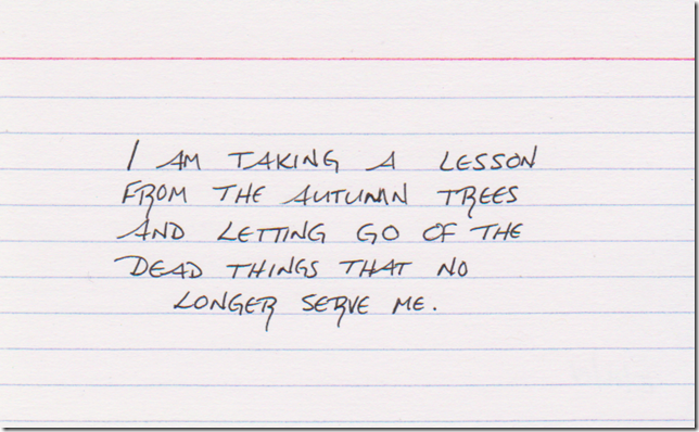 I am taking a lesson from the autumn trees and letting go of the dead things that no longer serve me.