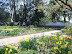 Mt Vernon in Spring