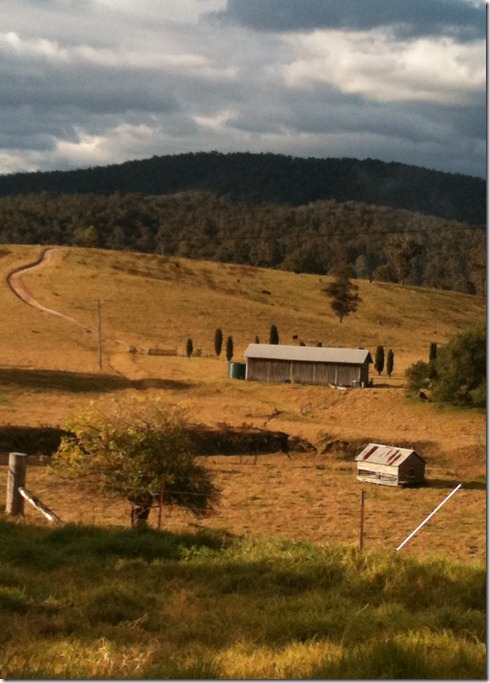 july 2011 038