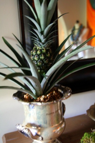 [IMG_3024%255B3%255D.jpg]