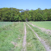 s4030941.jpg s4030941.jpg