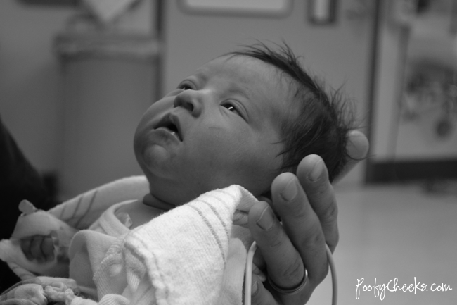 Poofy Cheeks: Newborn Baby Delilah