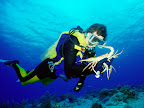 Sprachaufenthalt Fort Lauderdale