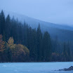 _MG_7309.jpg