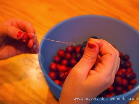 Cranberry Garlands #kidscraft #holidaycrafting Cranberry Garlands #kidscraft #holidaycrafting