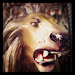 IMG_20121117_161326.jpg