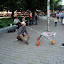 DSC03050.JPG