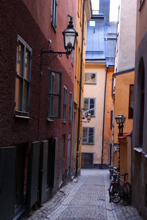 [DSC07747-copy8.jpg]