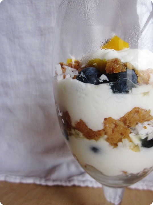 blueberry-mango parfait 009