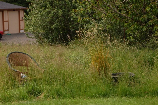 [DSC_6147%255B4%255D.jpg]