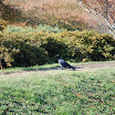 hokkaido_147.jpg