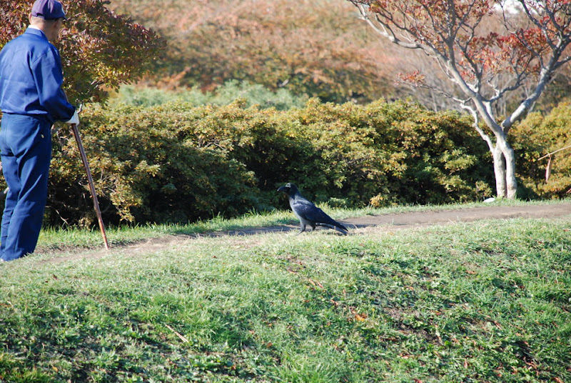 hokkaido_147.jpg