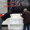 04_Amadora Pulsa 2013.jpg