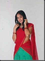 telugu-movies-actress-madhavi-latha telugu-movies-actress-madhavi-latha