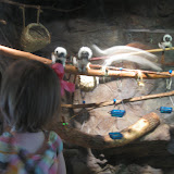 IMG_1810.jpg