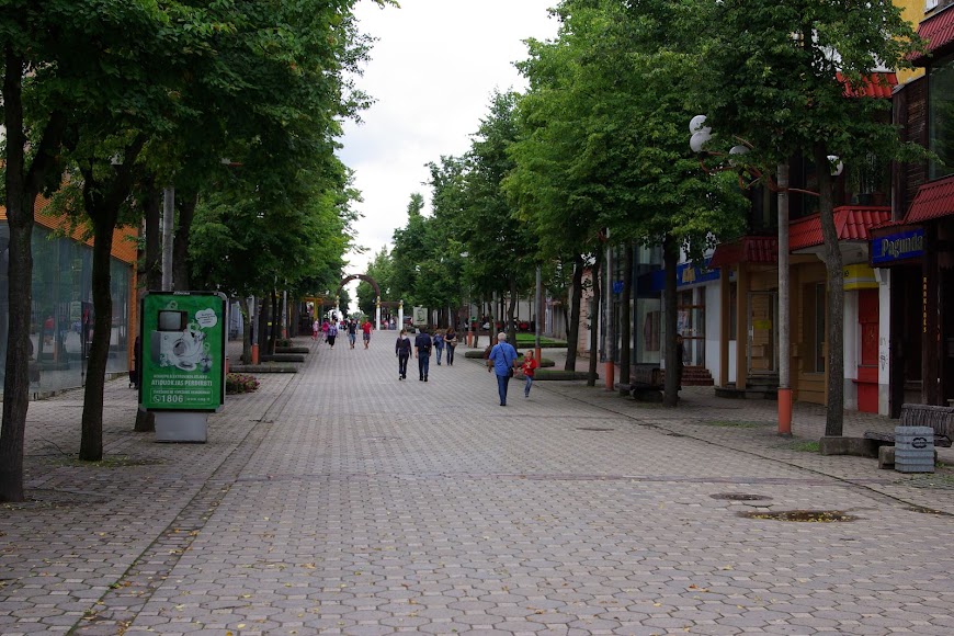 IMGP8647.jpg