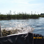 IMG_7985.JPG