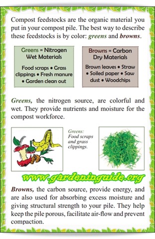 Compost Tips for the Home Gardener6