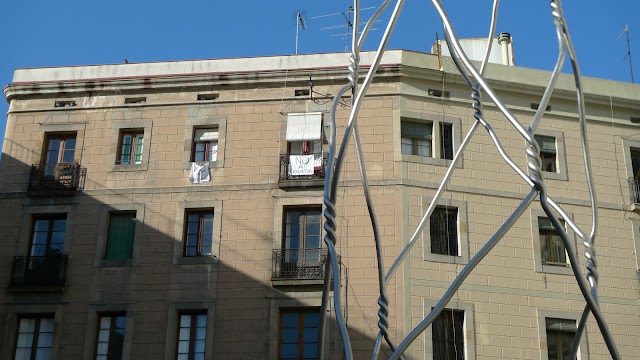 L1290335.JPG