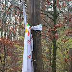 IMG_4795.JPG