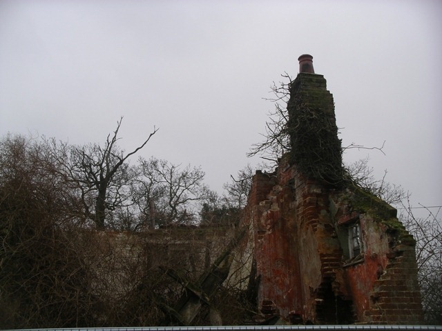 IMGP2220