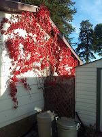 2011-09-28 08.47.10.jpg