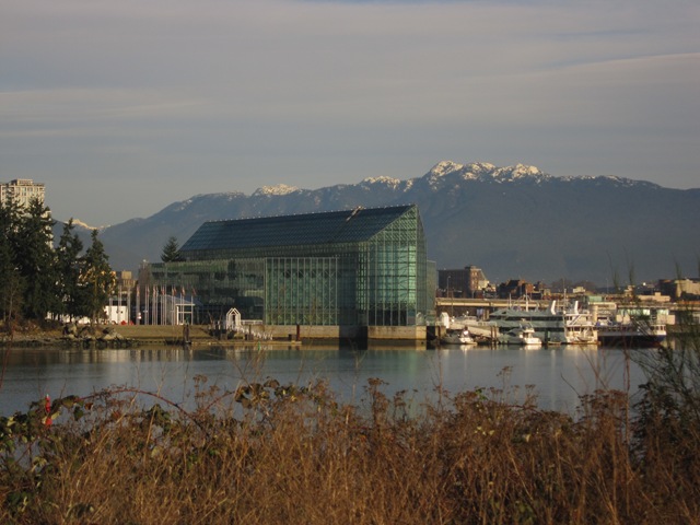 [IMG_67673.jpg]