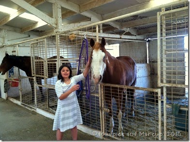 IMG_0659 IMG_0659