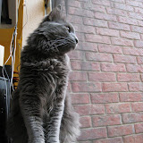 IMG_4000.JPG