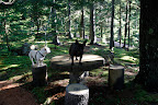 Martha wanted to have a place to sit and to picnic up here in this peaceful setting.