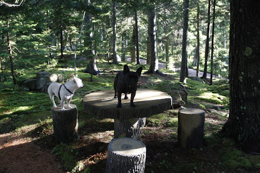 Martha wanted to have a place to sit and to picnic up here in this peaceful setting.
