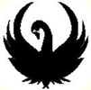 Logo-BlackSwan